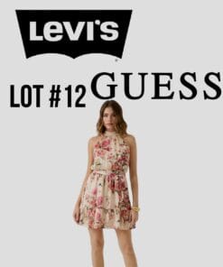 жіночий сток Levi's Guess весна літо брендовий одяг