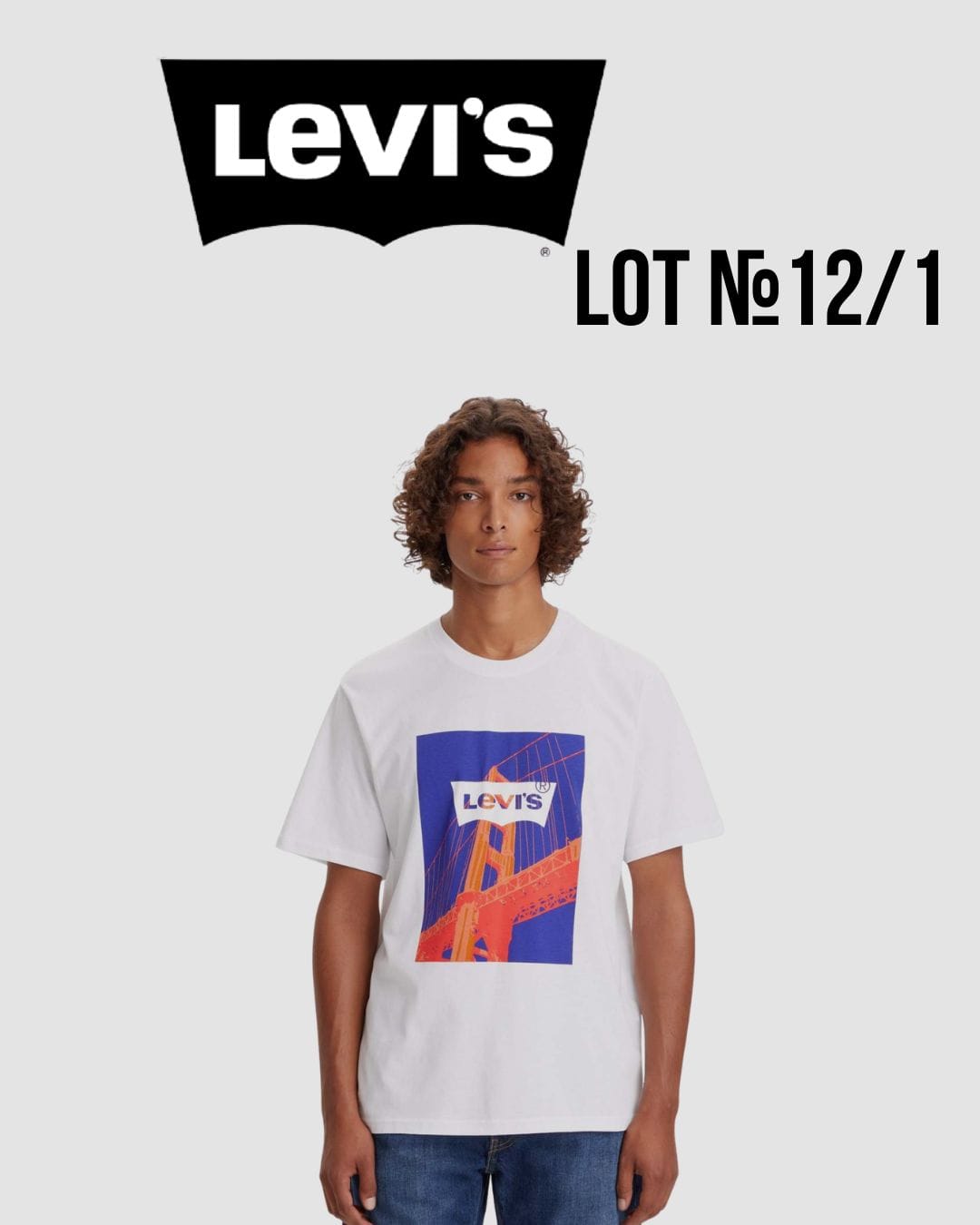 Levis мужские футболки Лот №12/1 - Фото 1 Levis мужские футболки Лот №12/1 - Фото 1