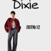 Брендовий жіночий сток оптом Dixie